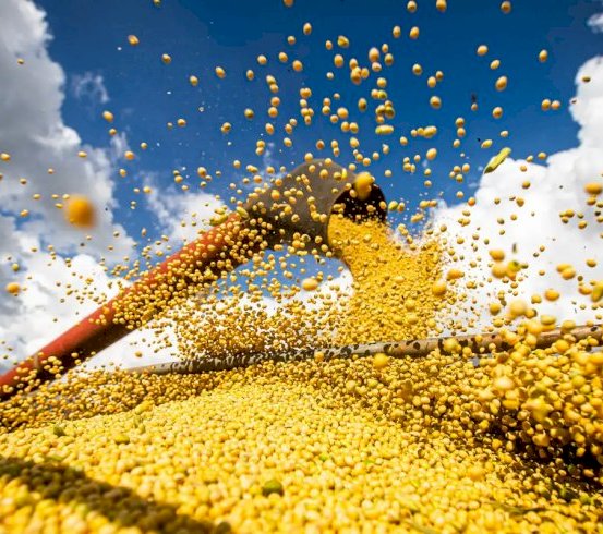 Conab: produção de grãos pode chegar a 358,6 milhões de toneladas