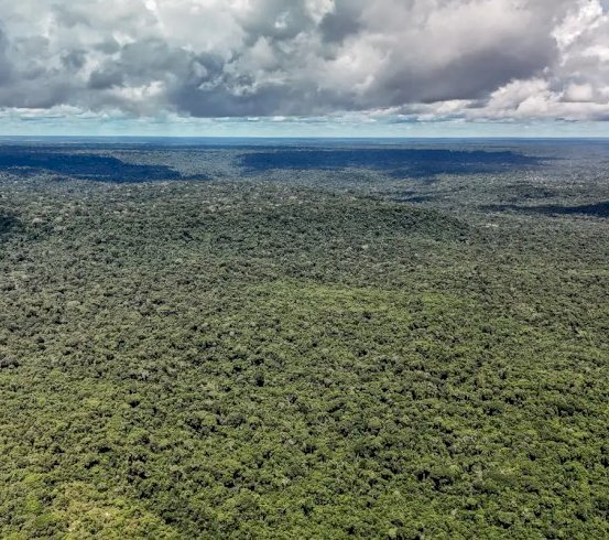 Fazenda autoriza crédito de US$ 1 bilhão do BID para Eco Invest Brasil