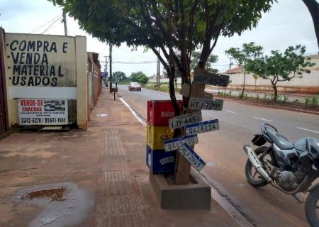 &Aacute;rvore vira "achados e perdidos" de placas arrancadas pela chuva