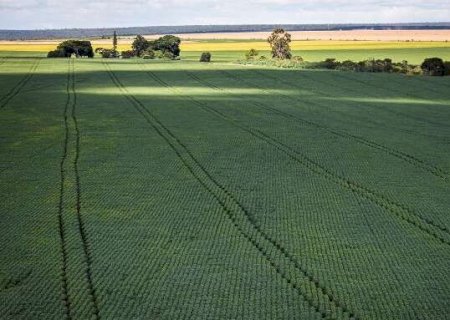 Estudo aponta desafios do seguro rural em meio a mudan&ccedil;as clim&aacute;ticas