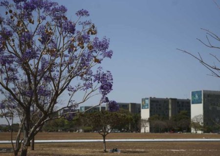 Participação feminina em cargos no governo federal mostra estagnação