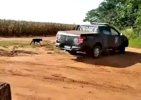 Grupo ind&iacute;gena recorre ao STF contra a&ccedil;&otilde;es da PM em disputa territorial em MS