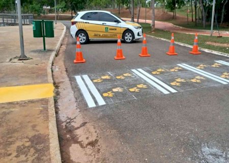 Depois de MS, capital do Mato Grosso também pinta ‘faixa de pedestre’ para capivaras