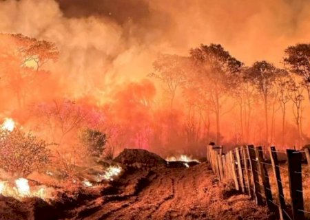 SEMADESC divulga dados de monitoramento de incêndios florestais