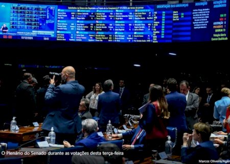 Senado aprova PL com regras para cooperativas de seguros e texto vai à sanção