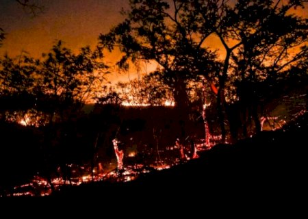Lula libera crédito de R$ 233 milhões minimizar impacto das queimadas no Pantanal e Amazônia