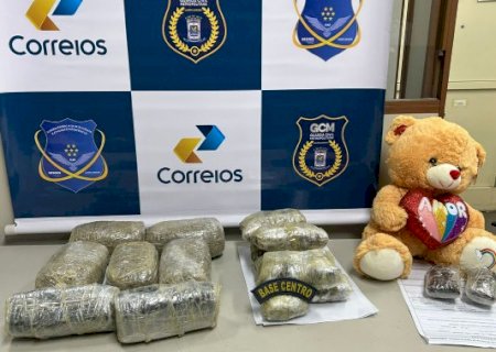 Traficantes tentam enviar drogas pelos Correios e mercadoria é apreendida em ação conjunta com a GCM
