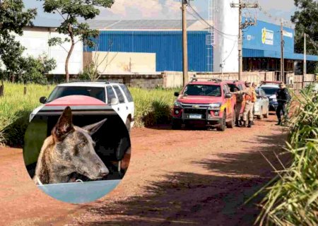 Idoso que desapareceu no Montevidéu é encontrado morto pela bombeira Laika em Campo Grande