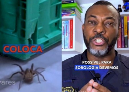 Flagrante em supermercado mostra que comprar uma simples fruta pode ser fatal; veja o vídeo