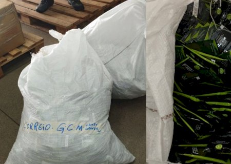 Correios identifica mercadoria ilícita, aciona a Guarda Civil que apreende e encaminha para RF