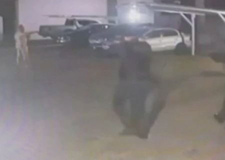 Em surto e ensanguentado, homem invade apartamento, afirma ter matado pessoas e é contido pela PM