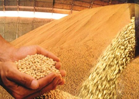 Devido ao recesso e com produtos em falta, preço do frete caiu em MS no mês de dezembro