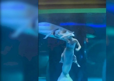 VÍDEO: ‘Sereia’ é atacada na cabeça por peixe em aquário na China