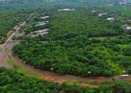 Sociedade Civil pode se candidatar para o Conselho de Meio Ambiente até 31 de janeiro