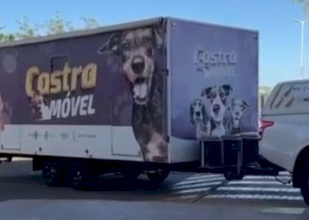 Castramóvel oferece atendimento gratuito para animais no Bosque dos Ipês