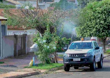 Fumacê percorre oito bairros nesta quinta-feira, em Campo Grande