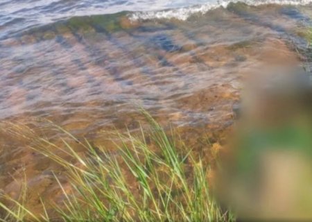 Corpo de turista que desapareceu no Rio Paraná, em Anaurilândia, é encontrado