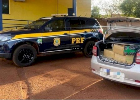PRF apreende 378 Kg de maconha em Rio Brilhante