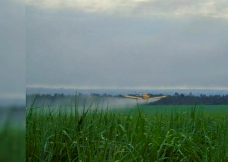 MPT-MS recomenda que ACP Bioenergia suspenda pulverização aérea de agrotóxicos