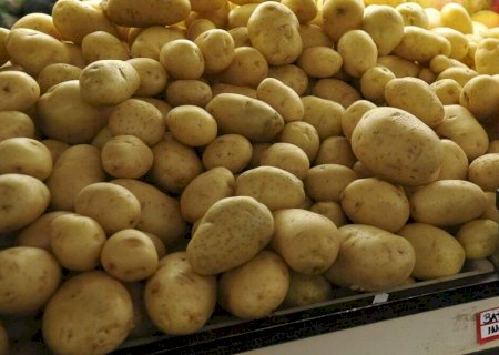 Comprar itens básicos de alimentação custa mais de R$ 760 em Campo Grande
