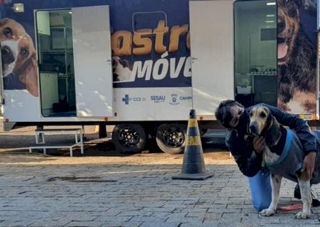 CCZ promove evento com vacinação, microchipagem e castração gratuita em Campo Grande
