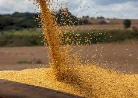 Agricultura inicia 2025 com 1,5 mil empregos gerados em janeiro