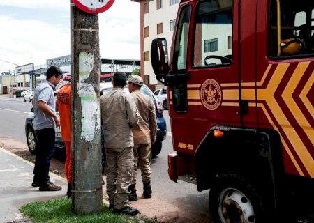 Após série de acidentes, Agetran fará estudo técnico em corredor de ônibus na Rua Brilhante 