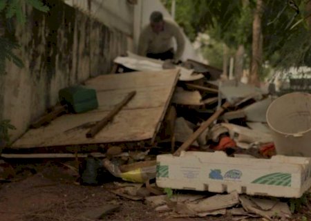 MS registra 4 mortes por dengue e mais 4 óbitos estão sob investigação 