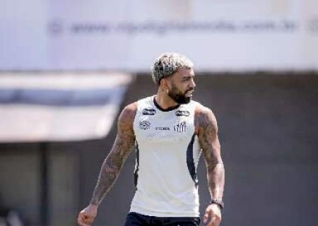 Rodada desta noite tem jogos do Brasileir&atilde;o e Libertadores da Am&eacute;rica