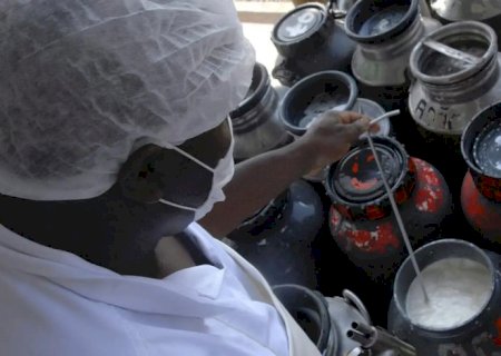 CMN libera linha de capital de giro a cooperativas de leite no Pronaf