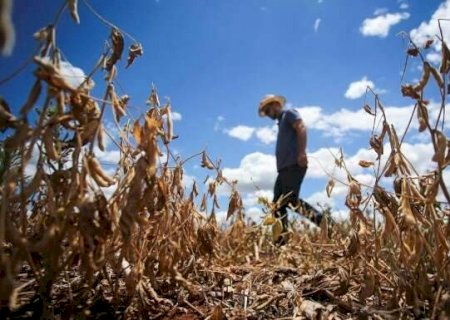 Portaria muda l&oacute;gica do Garantia-Safra e aposta em preven&ccedil;&atilde;o de perdas