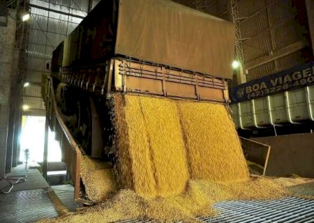 Caminhoneiro &eacute; condenado a pagar R$ 87 mil por &ldquo;perder&rdquo; carga de soja