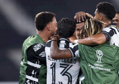 Botafogo constr&oacute;i vit&oacute;ria tranquila em casa e Santos para na defesa rival