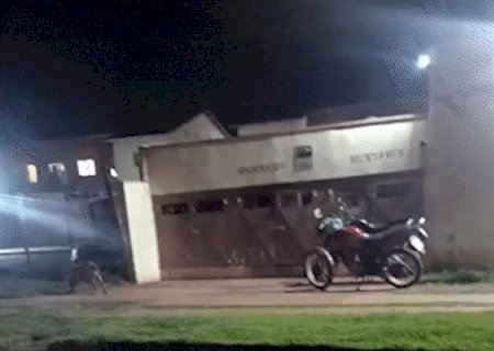 Casal de pitbulls entra em condom&iacute;nios e mata 12 gatos em 10 dias