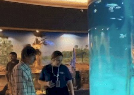 Di Ferrero conhece o Bioparque em passagem por Campo Grande