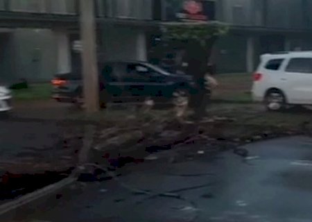 Com rua bloqueada por &aacute;rvores, motoristas desviam pela cal&ccedil;ada ap&oacute;s temporal