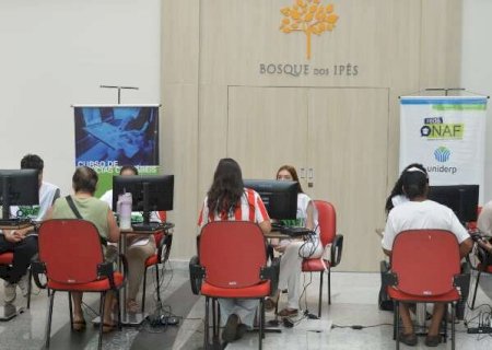 Contribuintes evitam malha fina e regularizam imposto de renda em shopping