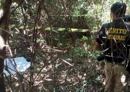 Corpo &eacute; encontrado em &aacute;rea de mata e suspeita &eacute; de ataque de javali