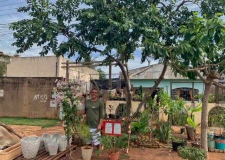 Floricultura na cal&ccedil;ada nasceu de uma dor e hoje colore vida de Elivan