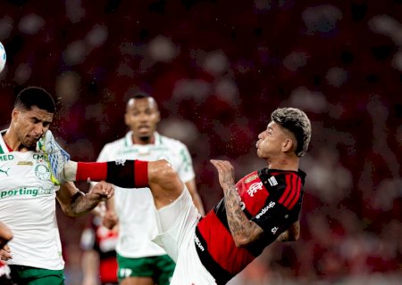 Flamengo x Palmeiras: CBF divulga análise do VAR em lance de expulsão de Carrascal