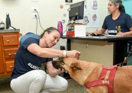 Consult&oacute;rio m&oacute;vel da Subea atende pets no Cai&ccedil;ara nesta semana