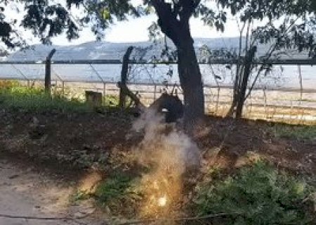 Morador flagra fio de alta tens&atilde;o em chamas na Ch&aacute;cara dos Poderes