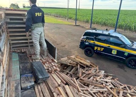 C&atilde;es encontram 1,1 tonelada de maconha escondida em carreta