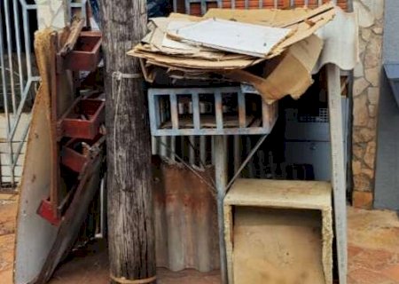 Vizinhos denunciam "casa de gatos" em cal&ccedil;ada no Lar do Trabalhador