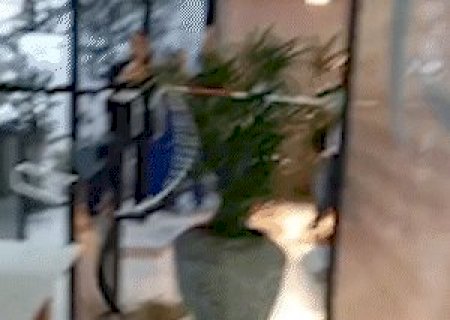 &ldquo;Recebemos uma visitinha&rdquo;: cobra &eacute; encontrada embaixo de cadeira no TCE