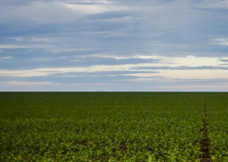 Fazenda estuda Fundo Garantidor para dívidas rurais