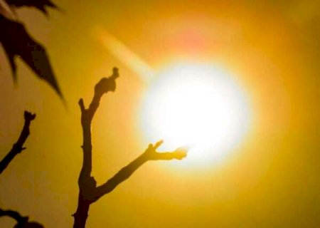 Calor extremo pode ocupar quase um quarto do ano no Pantanal