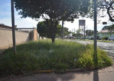 Comerciantes reclamam de condi&ccedil;&otilde;es de rua e cal&ccedil;ada em frente ao Col&eacute;gio Militar