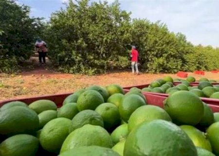 Justi&ccedil;a mant&eacute;m na "lista suja" empresa que explorava 20 trabalhadores resgatados