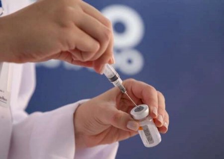 Casos notificados caem 92%, mas Sa&uacute;de retoma vacina&ccedil;&atilde;o contra chikungunya